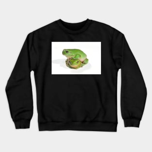 two litoria caerula green tree frogs one on top of the other Crewneck Sweatshirt